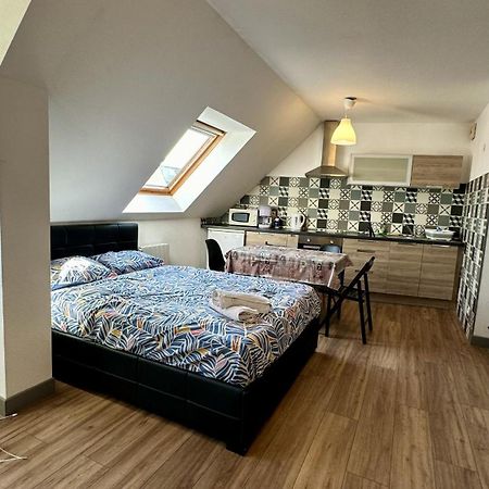Appartement 4 Personnes En Plein Centre De Colmar Zewnętrze zdjęcie