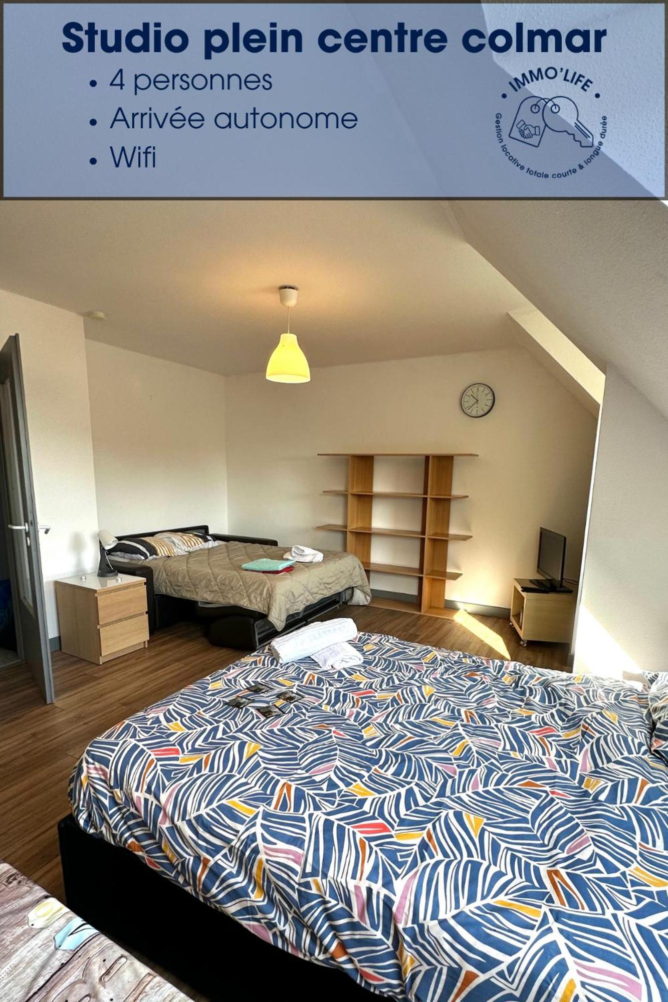 Appartement 4 Personnes En Plein Centre De Colmar Zewnętrze zdjęcie